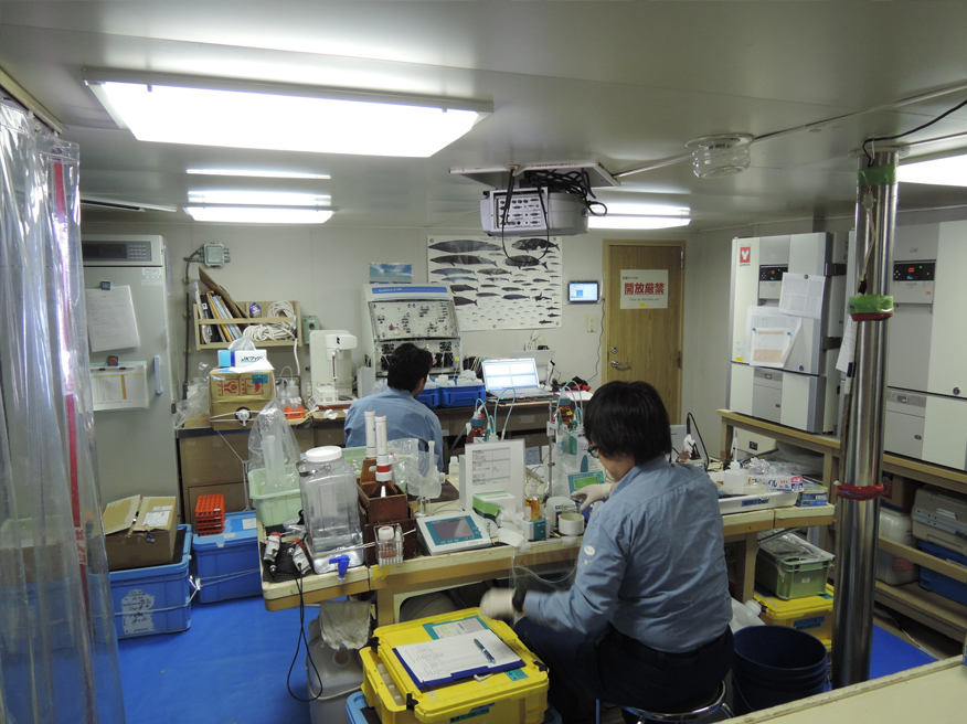 CTD採水の光景写真