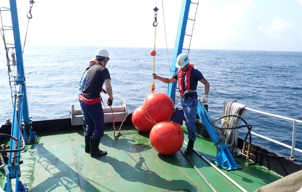 環境モニタリング写真