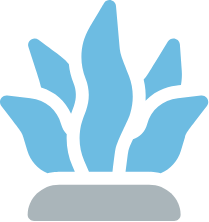 ブルーカーボン生態系調査アイコン