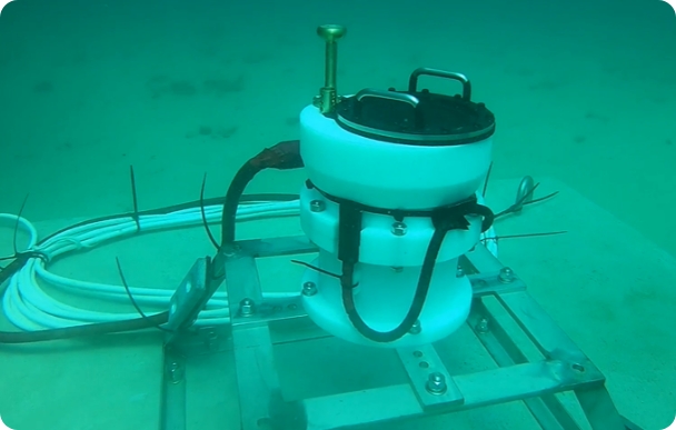 環境モニタリング写真