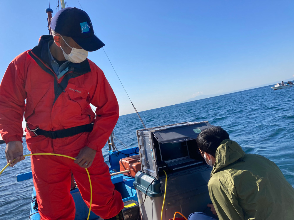 カジメの生長観察