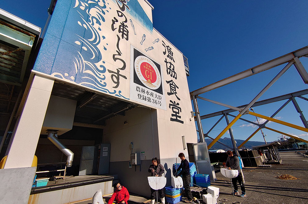 田子の浦漁業協同組合のワカメ養殖施設での水中タイムラプスカメラ観察