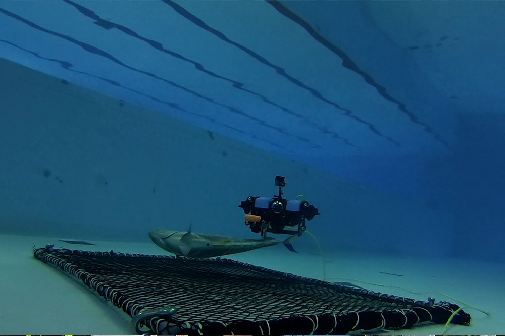 令和4年度　海の次世代モビリティの利活用に関する実証事業 ～ROV を用いた大型へい死魚の効率的な回収方法の検討～（その１）