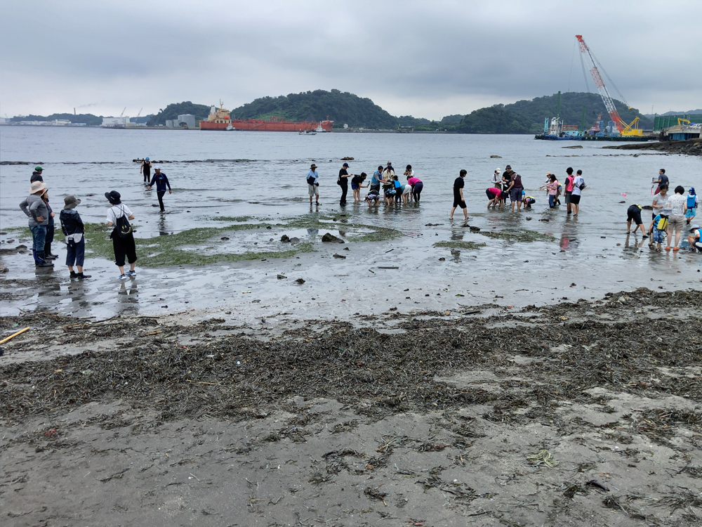 コアマモ植え付け体験会